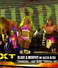 WWE_NXT_2015_07_29_WEBRip_h264-WD_mp4_20161127_210256_389.jpg