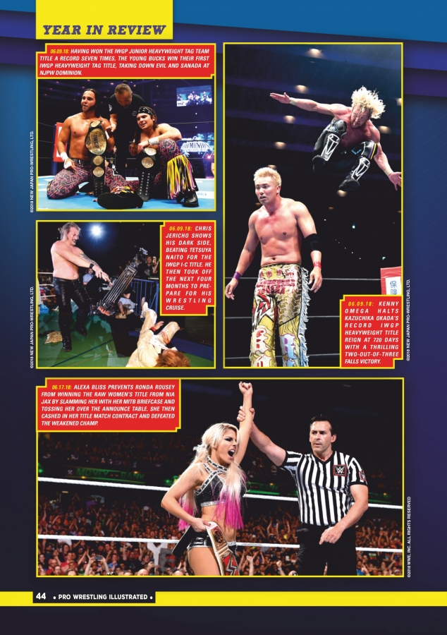 Pro-Wrestling-Illustrated-04.jpg