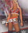 WWE_Trading_Card_019.jpg