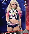 WWE_Trading_Card_048.jpg