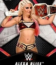 WWE_Trading_Card_073.jpg