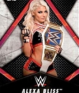 WWE_Trading_Card_074.jpg