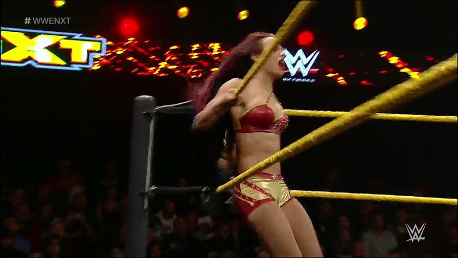 WWE_NXT_2015_01_08_WEB-DL_x264-WD_mp4_20161127_182749_215.jpg