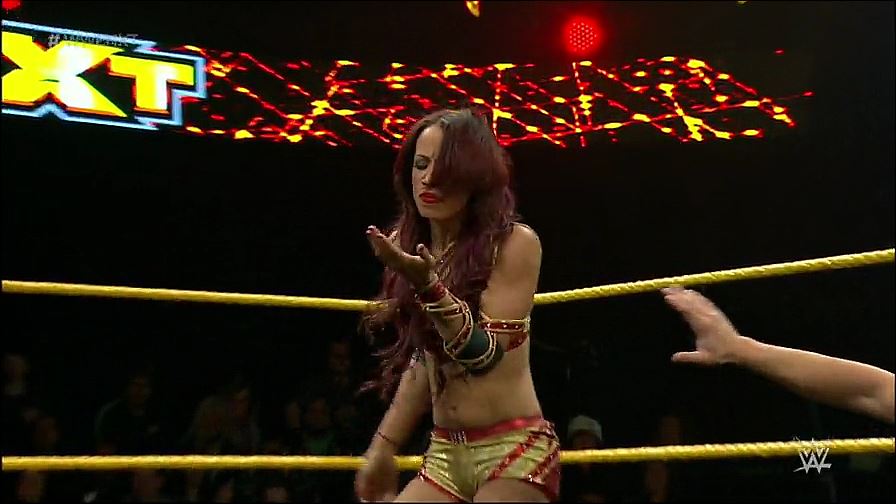 WWE_NXT_2015_01_08_WEB-DL_x264-WD_mp4_20161127_182805_662.jpg