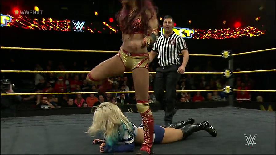 WWE_NXT_2015_01_08_WEB-DL_x264-WD_mp4_20161127_182837_395.jpg