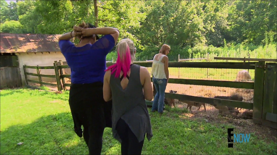 total_divas_s07e05_1080p_web_x264-tbs_mkv_000877512.jpg