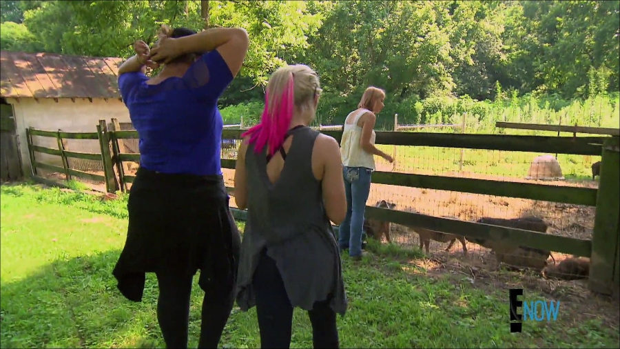 total_divas_s07e05_1080p_web_x264-tbs_mkv_000878173.jpg