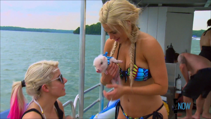 total_divas_s07e05_1080p_web_x264-tbs_mkv_001573569.jpg