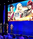 WWE_Business_Partner_Summit_2017_WEB_h264-HEEL_mp4_20170423_234755_665.jpg