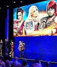 WWE_Business_Partner_Summit_2017_WEB_h264-HEEL_mp4_20170423_234756_207.jpg