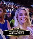 WWE_Hall_Of_Fame_2019_720p_WEB_h264-HEEL_mp4_007178210.jpg