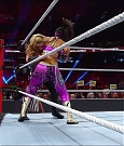 WWE_Royal_Rumble_2019_PPV_720p_WEB_h264-HEEL_mp4_008333491.jpg