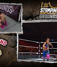 WWE_Stomping_Grounds_2019_PPV_720p_WEB_h264-HEEL_mp4_005753487.jpg