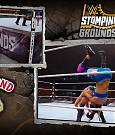 WWE_Stomping_Grounds_2019_PPV_720p_WEB_h264-HEEL_mp4_005754822.jpg