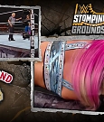 WWE_Stomping_Grounds_2019_PPV_720p_WEB_h264-HEEL_mp4_005759159.jpg