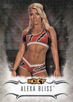 WWE_Trading_Card_017.jpg