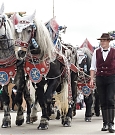 004_wwe_promo_muenchen_oktoberfest_02628c29_janice_mersiovsky--ce1a0acd59d65b765ae13b1df5d90a3d.jpg