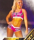 WWE_Trading_Card_016.jpg