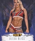 WWE_Trading_Card_018.jpg