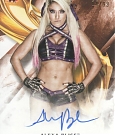 WWE_Trading_Card_095.jpg