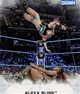 WWE_Trading_Card_111.jpg