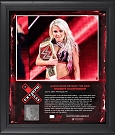 alexa-bliss-framed-15-x-17-2018-extreme-rules-collage-with-a-piece-of-match-used-canvas-limited-edition-of-199_pi5167000_ff_5167431-5f76686324817f860e89_full.jpg