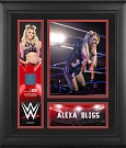 alexa-bliss-framed-15-x-17-collage-with-a-piece-of-match-used-canvas-limited-edition-of-500_pi5028000_ff_5028263-7f9ad92c1885715485f3_full.jpg